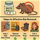 How to Kill Fleas with Moth Balls & Salt