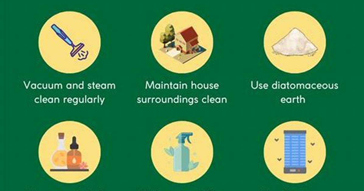 How to Kill Fleas With