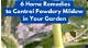 How to Kill Powdery Mildew in Mulch