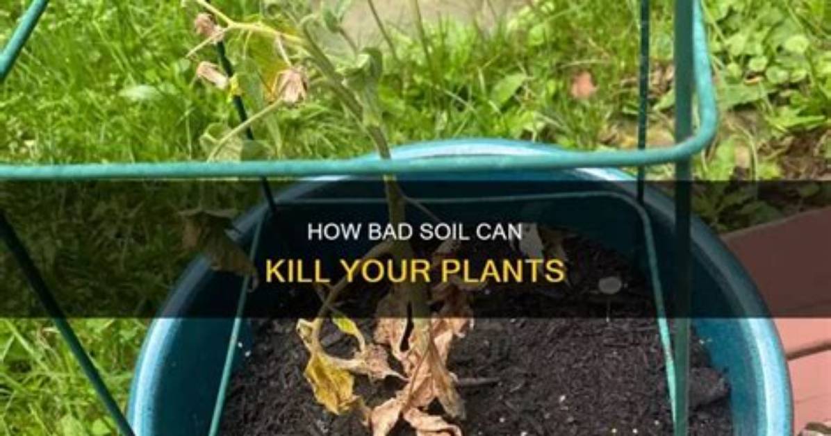How to Kill Soil