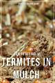 How to Kill Termites in Mulch