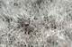 How to Kill White Fuzzy Mold