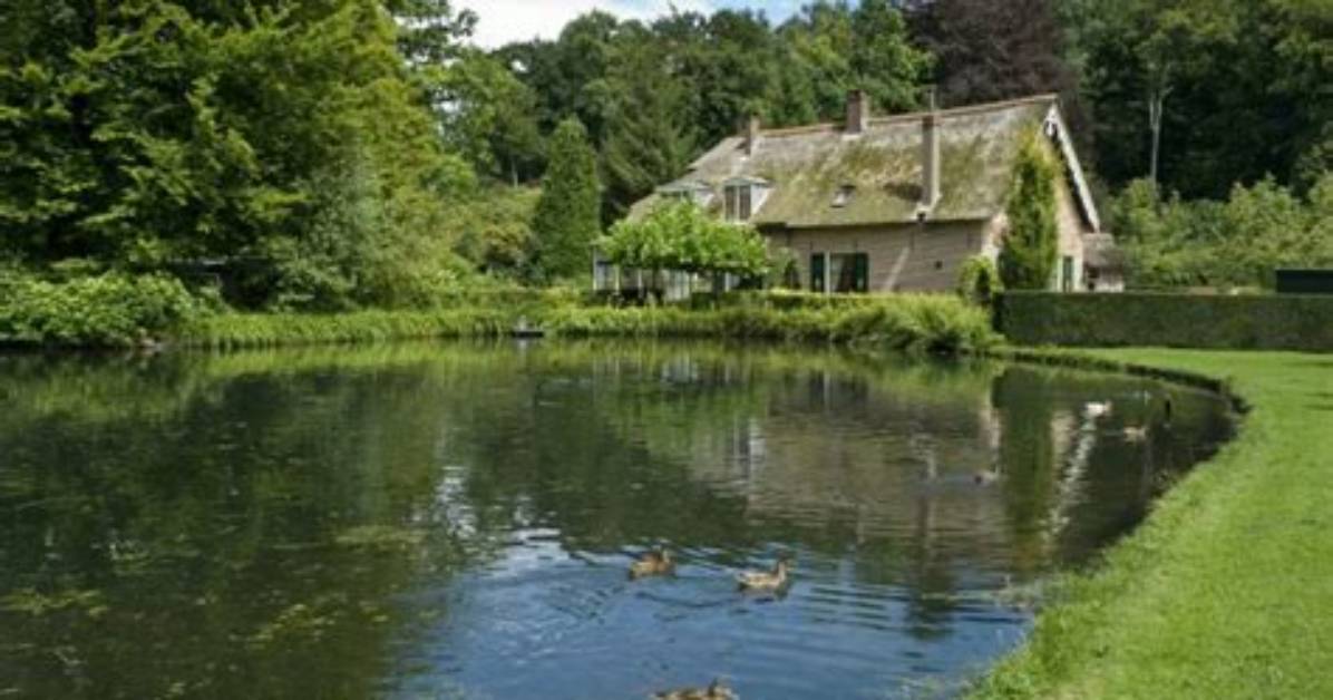 How to Make a 1 Acre Pond