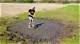 How to Make a Bait Pond
