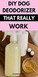 How to Make a Dog Deodorizer