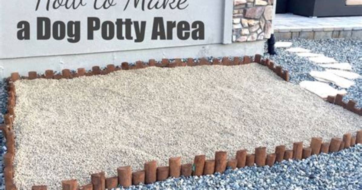 How to Make a Dog Toilet Area in Your