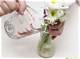How to Make a Homemade Floral Preservative