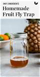 How to Make a Homemade Fruit Fly Trap