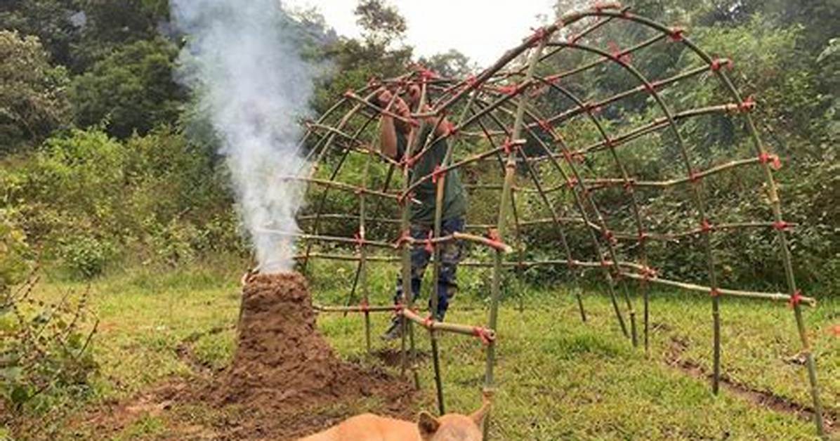 How to Make a Shelter from Palm