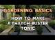 How to Make a Thatch Buster Tonic