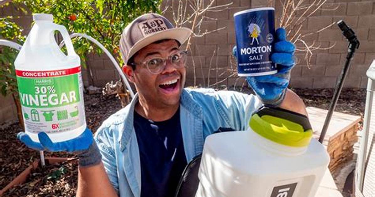 How to Make a Weed and Waterproof