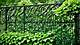 How to Make an Iron Fence Private