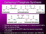 How to Make Carbamoyl Phosphate?
