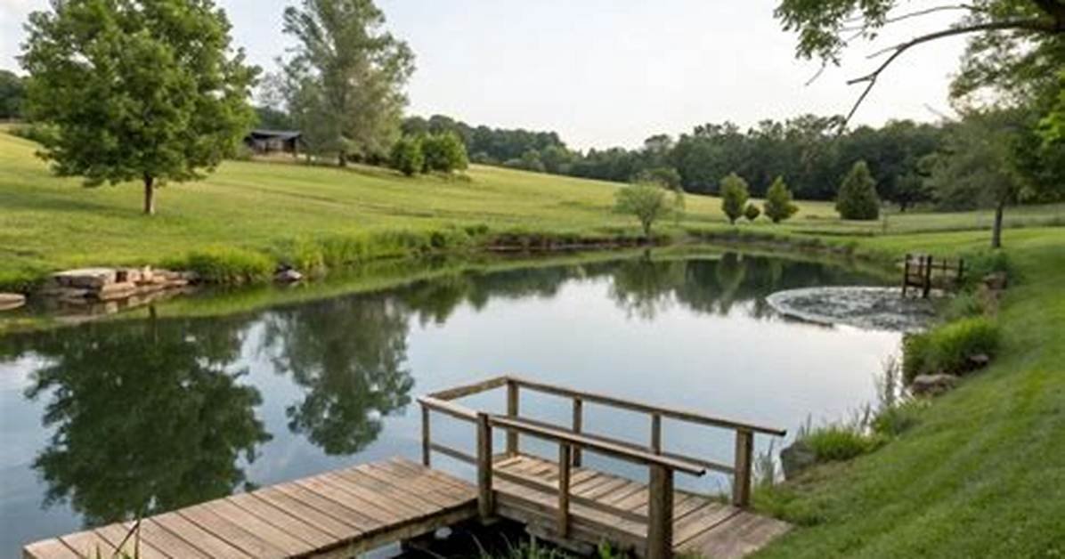 How to Make Farm Pond