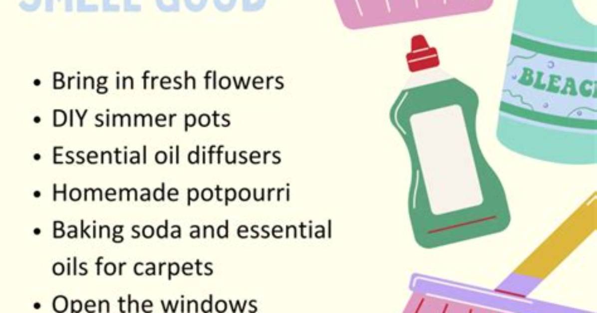 How to Make the House Smell with a Pine Tree