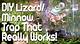 How to Make Traps for Anole Lizards