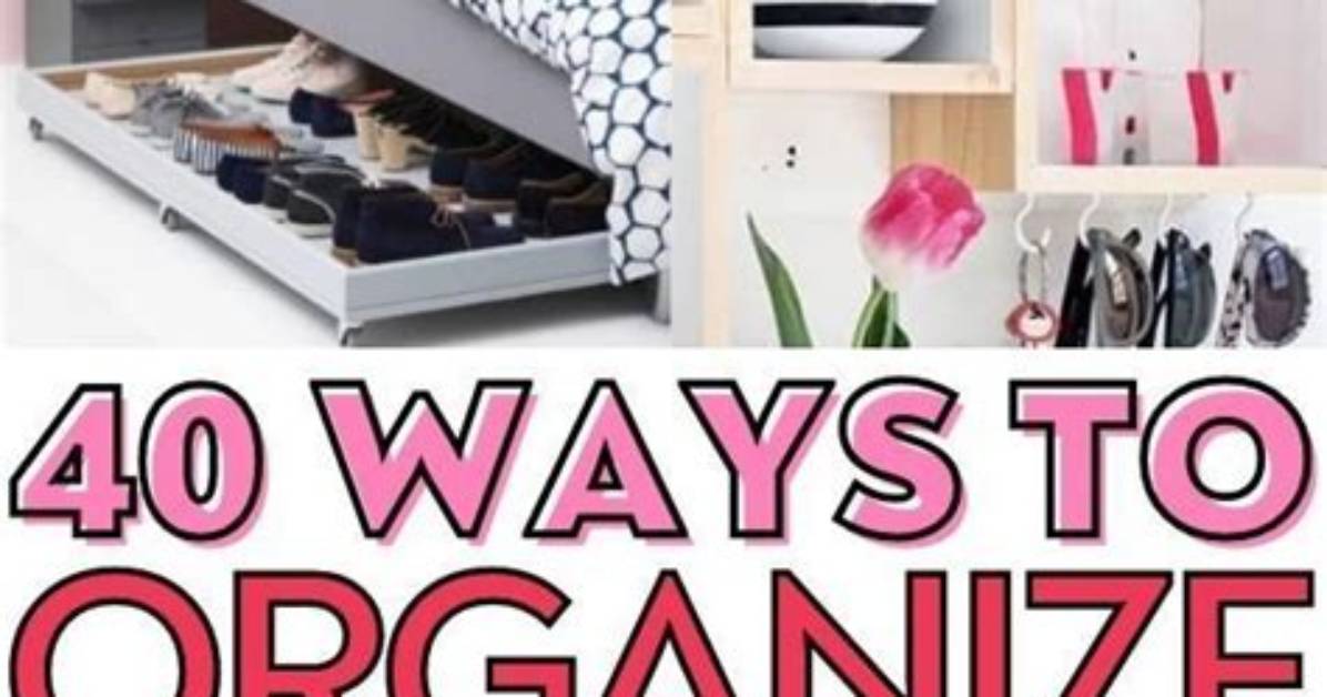 How to Organize A