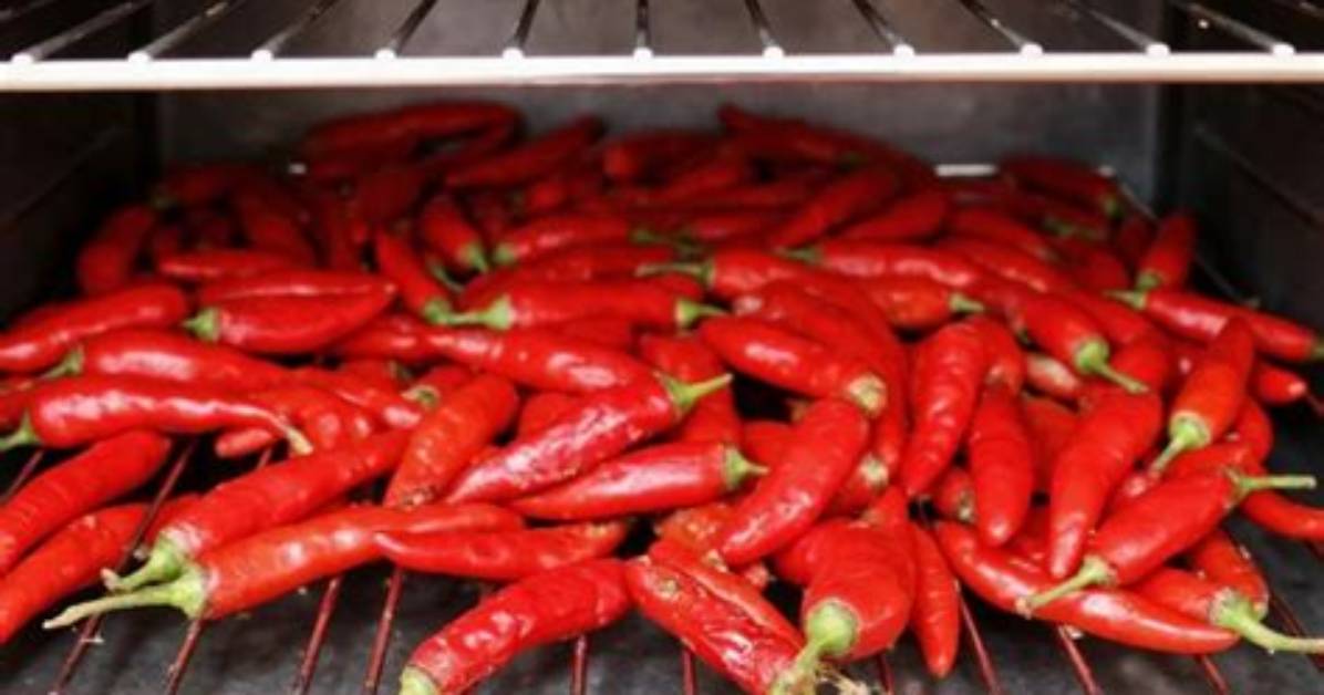 How to Oven Dry Chillies?