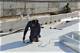 How to Paint Thermoplastic Polyolefin