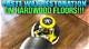 How to Paste Wax Hardwood Floors
