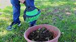 How to Pick up Sweet Gum Balls?