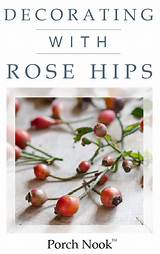 How to Preserve Rose Hips for Decoration
