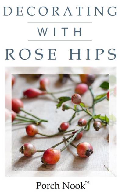 How to Preserve Rose Hips for Decoration