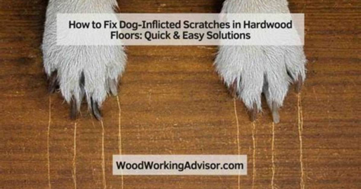 How to Prevent Dog Scratches on Hardwood