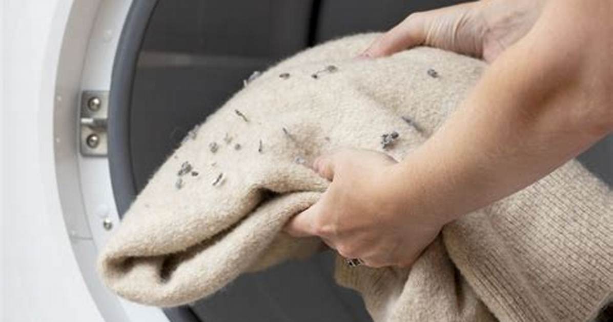 How to Prevent Lint from Getting Past a Dryer