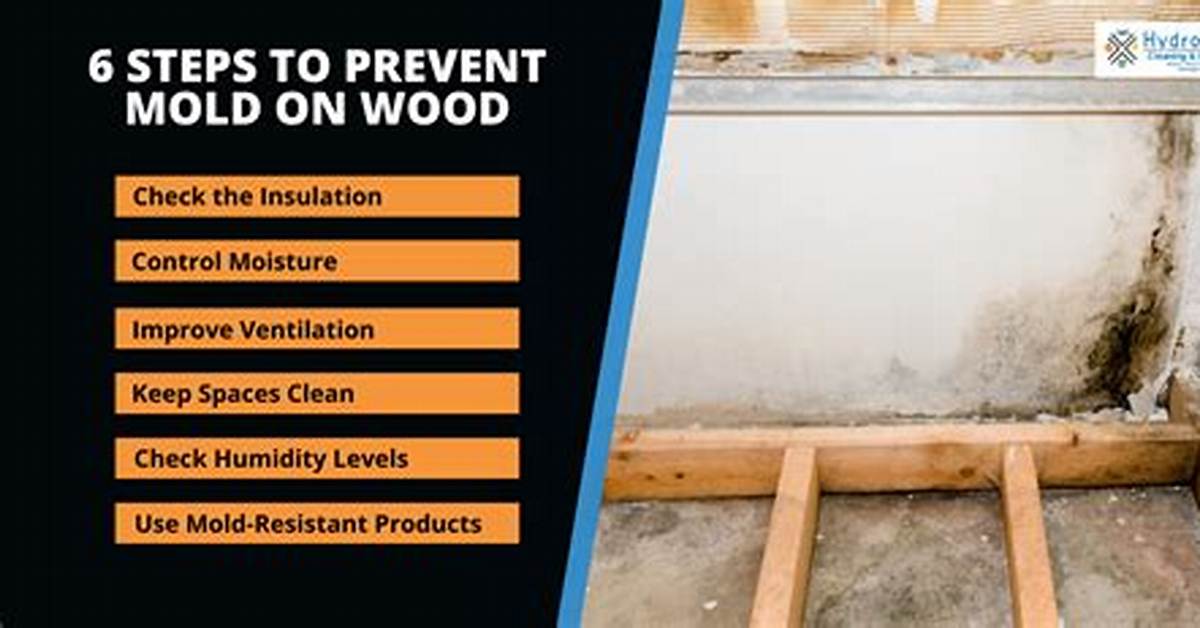 How to Prevent Mold on a Wood Drying