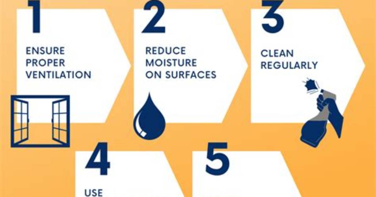 How to Prevent Mold on A