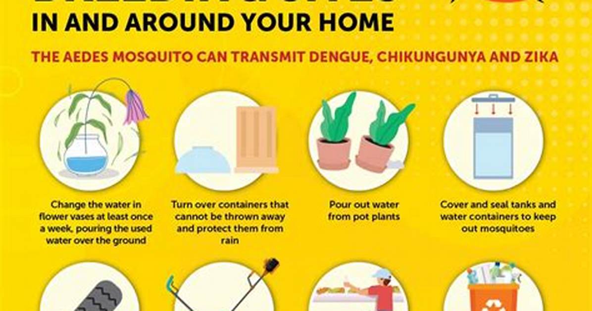 How to Prevent Mosquito Breeding In