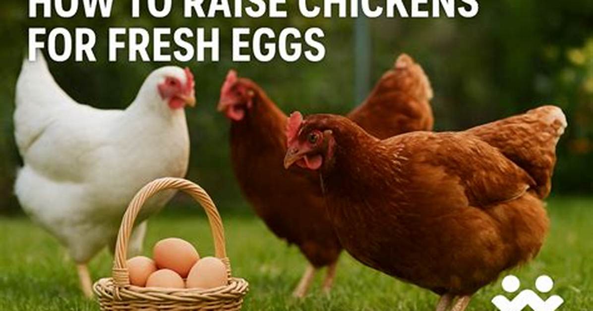 How to Raise Fresh