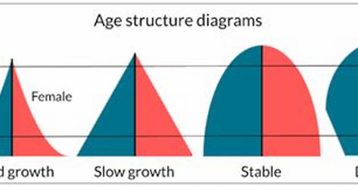 How to Read Age Structure Diagrams