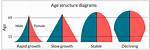 How to Read Age Structure Diagrams