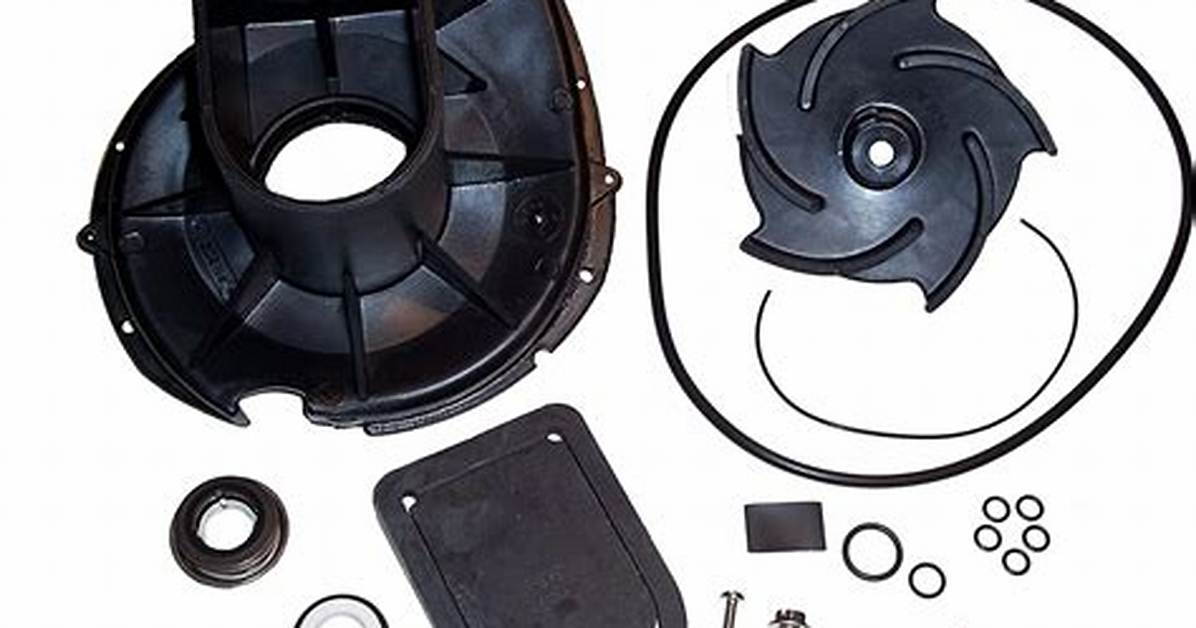 How to Rebuild a Pacer Pump