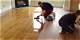 How to Refinish Bamboo Floors