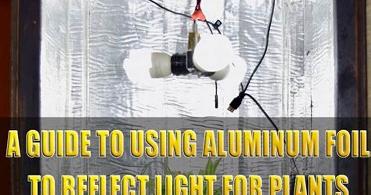 How to Reflect Light for Plants