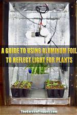 How to Reflect Light for Plants