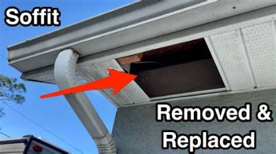How to Remove 1 Piece of Soffit
