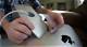 How to Remove a Cinema Display Stand