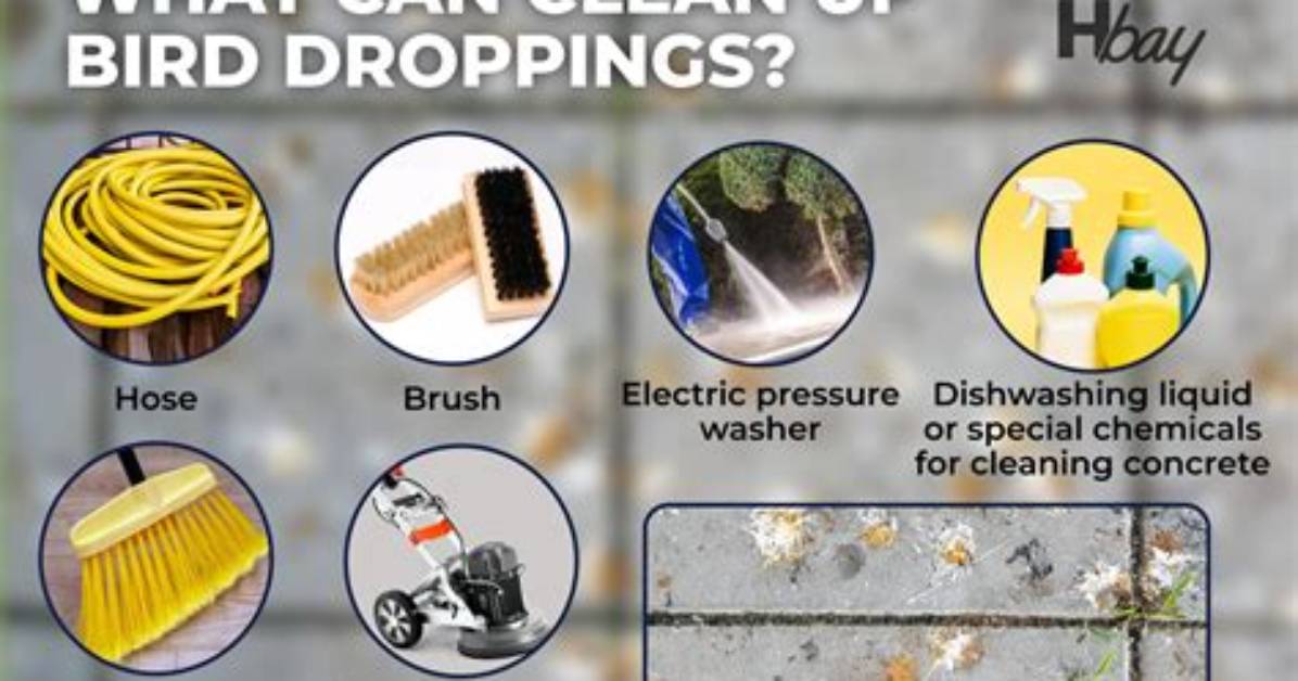 How to Remove Bird Droppings from a Copper