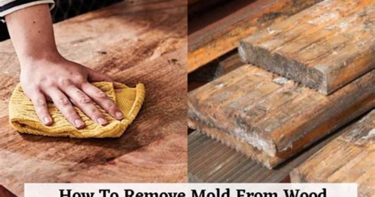 How to Remove Black Mildew from Wood Window