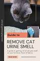 How to Remove Cat Urine Smell in a Crawl Space