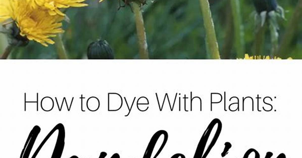 How to Remove Dandelion Stains From