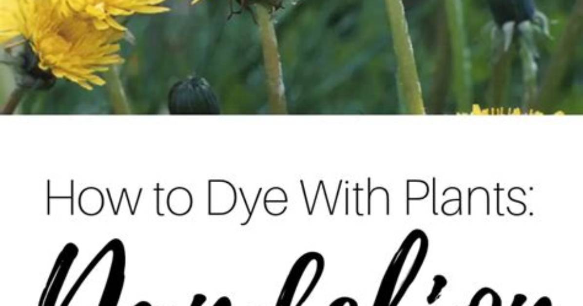 How to Remove Dandelion Stains