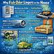 How to Remove Fish Odor in Refrigerators