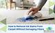 How to Remove India Ink Carpet Stains