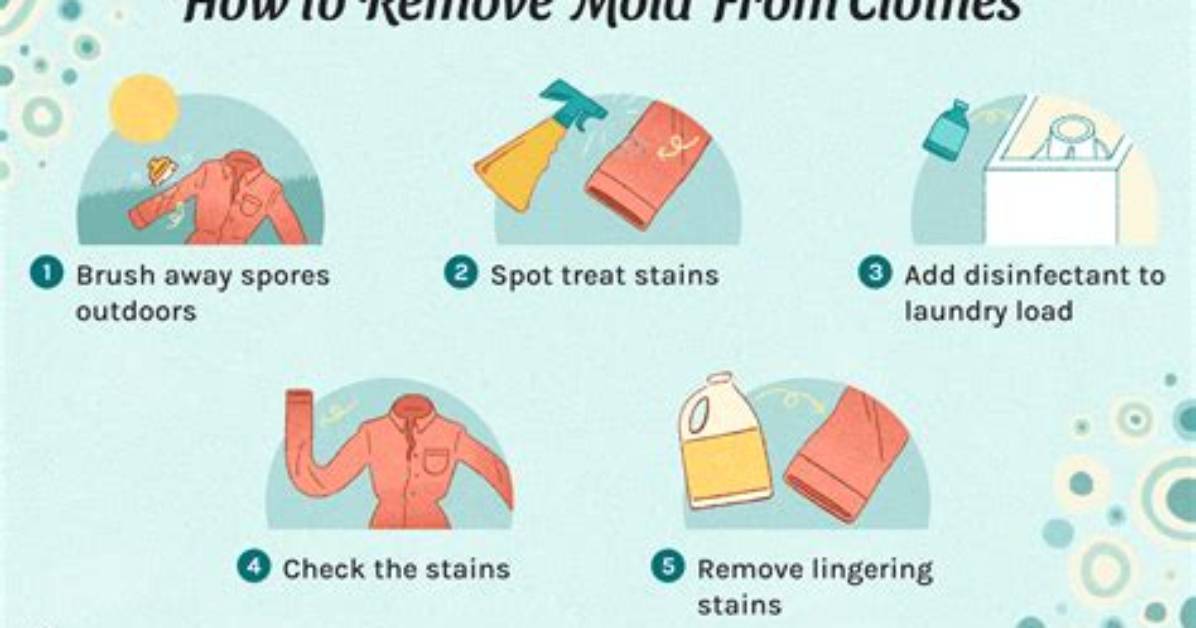 How to Remove Mold By