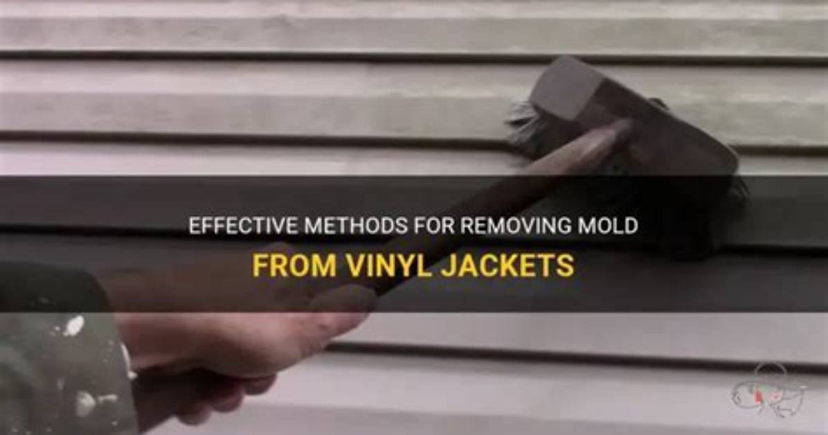 How to Remove Mold from a Vinyl